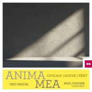 Paul Figuier, Trio Pascal, Violaine Despeyroux - Anima Mea (2024) [Hi-Res]