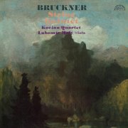 Lubomír Malý, Kocian Quartet - Bruckner: String Quintet (2012)