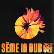 Irie Jahzz - Sème in Dub (2023) [Hi-Res]