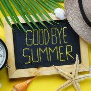 VA - goodbye summer (2025)
