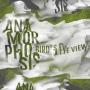 Anamorphosis - Bird's Eye View (2023) Hi Res