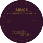 Bruce - Not Stochastic (2014)