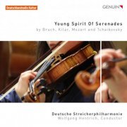 Deutsche Streicherphilharmonie, Wolfgang Hentrich - Young Spirit of Serenades (2016) [Hi-Res]