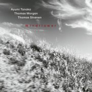 Ayumi Tanaka, Thomas Morgan, Thomas Strønen - Windflower (2026)