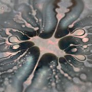 Dubplanet X - Xpressive (2026)