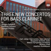 Carl-Johan Stjernstrom, Malmö Symphony Orchestra, Musica Vitae, Joachim Gustafsson - Music from Malmö, Vol. 1: 3 New Concertos for Bass Clarinet (2025) [Hi-Res]