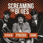 Matej Ptaszek - Screaming the Blues (2019)