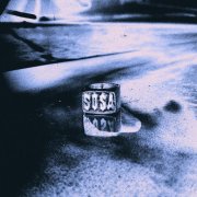 Mr. Sosa - Undetected Plagiarism (2025)