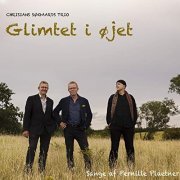 Christian Søgaard Trio - Glimtet i øjet (2020)
