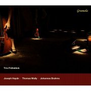 Trio Frühstück - Haydn, Wally & Brahms: Works for Piano Trio (2014)