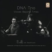 DNA Trio - Voices Beyond Times (2022)