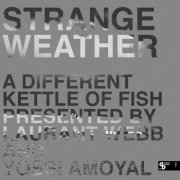 VA - Strange Weather – A Different Kettle Of Fish (2025)