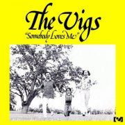 The Vigs - Somebody Loves Me (1976)