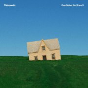 Michigander - Over Before You Know It (2026) [Hi-Res]