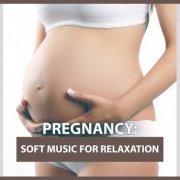 Various Artists - Pregnancy: Soft Music For Relaxation (2016) flac