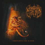 Ascended Master - Crepuscular Gloom (2026)