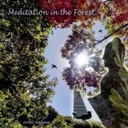 Ariel Kalma - Meditation in the Forest (2015)