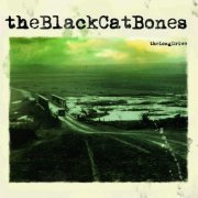 The Black Cat Bones - The Long Drive (2011/2013) FLAC