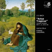 Cantus Cölln, Konrad Junghänel - J.S. Bach: Actus Tragicus Cantates / Kantaten BWV 4, 12, 106 & 196 (2000)