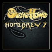 Steve Howe - Homebrew 7 (2021)