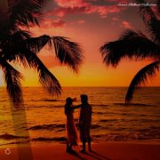 VA - Sunset Chillout Collection (2026)
