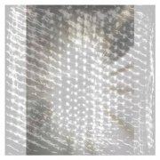 Bae Bae - gauze (2026)