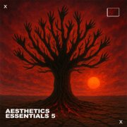 VA - Aesthetics Essentials 5 (2025)