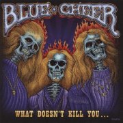 Blue Cheer - What Doesn`t Kill You (2007)