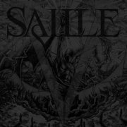 Saille - V (2021)