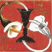 Toad The Wet Sprocket - Dulcinea (1994)