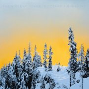 The Violent Years - Blizzard / Sunshine (2026) [Hi-Res]