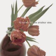 To Rococo Rot - The Amateur View (Expanded Edition 2025) (2025)