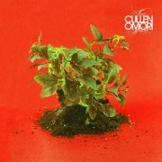 Cullen Omori - New Misery (2016) [Hi-Res]