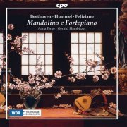 Gerald Hambitzer & Anna Torge - Mandolino e fortepiano (2018)