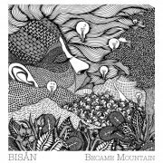 Bisån - Became Mountain (2019) FLAC