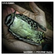 Otis Gibbs - Souvenirs of a Misspent Youth (2014)