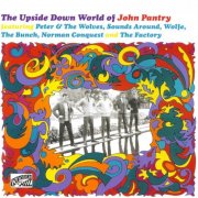 VA - The Upside Down World Of John Pantry (2009)