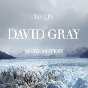 David Gray - Life in Slow Motion (Deluxe) (2025)