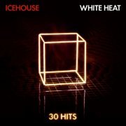 Icehouse - White Heat: 30 Hits (2011)