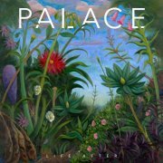 Palace - Life After (2019) [Hi-Res]