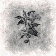 Polterngeist - At the Call of the Devil's Trumpet (2026)
