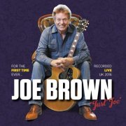 Joe Brown - Just Joe (feat. Henry Gross) (Live) (2017)