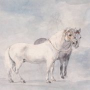Horses - Every Dumb Thing I Ever Did (2025)