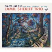 Jamil Sheriff Trio - Places Like This (2023) [Hi-Res]