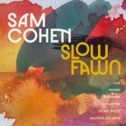 Sam Cohen - Slow Fawn Music No. 1-2 (2022/2025) [Hi-Res]