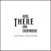 Anthony Molinaro - Here, There and Everywhere (2014)