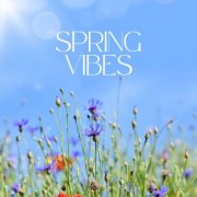 VA - Spring Vibes (2026)