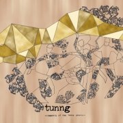 Tunng - Comments of the Inner Chorus (2006)