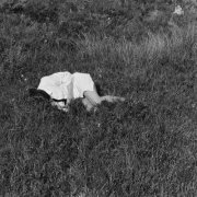 Nina Winder-Lind - Wild Love (2026) [Hi-Res]