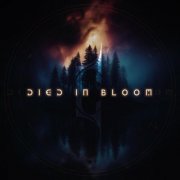 Catharsis RVA - Died In Bloom (2025) Hi-Res